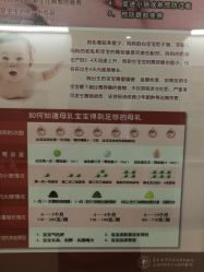 -复旦大学附属妇产科医院(杨浦院区)