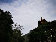 -西双版纳原始森林公园