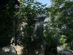 -阳台山自然风景区