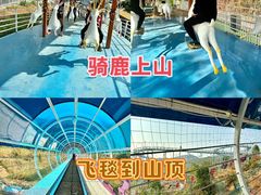 -盈香心动乐园