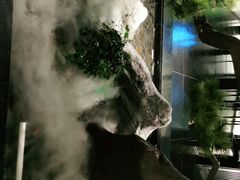 -合幸日本料理·炭火烧肉(观澜御湖店)