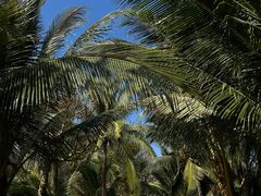 -三亚海棠湾万丽度假酒店