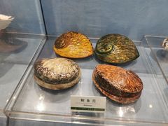 -浙江自然博物院(杭州馆)