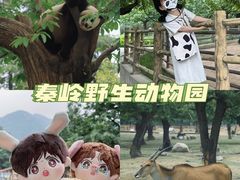 -西安秦岭野生动物园