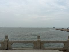 -野狸岛