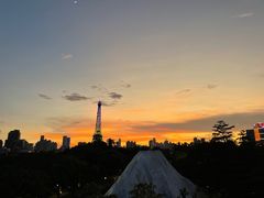 -尚酷网球(世界之窗店)