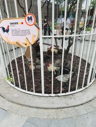 -造物庄园 萌宠纪(苏州湾歌林公园店)