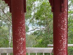 -深圳仙湖植物园