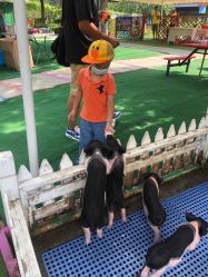 -萌宠亲子动物乐园(槐房万达店)