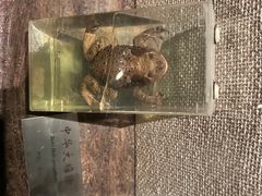 -湖州博物馆