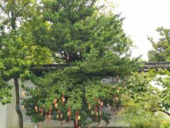 -东山雕花楼