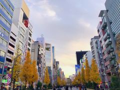 -秋叶原电器街
