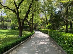 -复旦大学附属华山医院(总院)