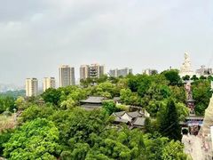 -东莞观音山旅游风景区
