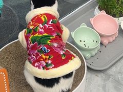 -美联众合动物医院(唯恩分院)