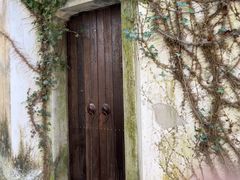 -梦姑塘文化公园