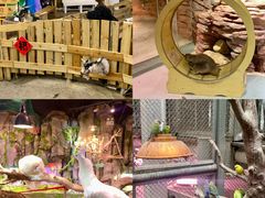 -正佳雨林生态植物园