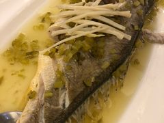 -宝燕壹号(徐汇店)