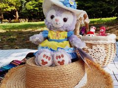 -上海共青森林公园