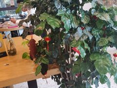 -霸王茶姬(泛海广场店)