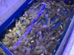 -澜悦港海鲜体验主题餐厅