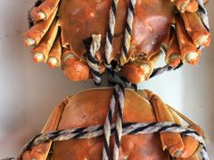 -乡乐园蟹庄·阳澄湖农家乐