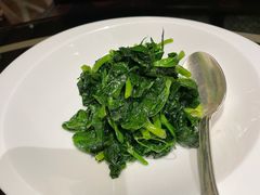 五粮液炒豆苗-北京四季酒店·采逸轩