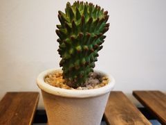 -33Coffeelab 咖啡研究所