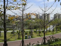 -飞凤山奥体公园