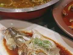 -有红鸡毛店·川菜(建设路店)