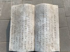 -莲花池公园