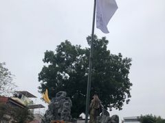-圣约瑟夫大教堂
