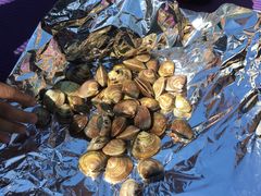 -水韵湾生态农庄