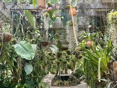 -中国科学院西双版纳热带植物园