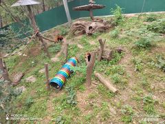 -大连森林动物园