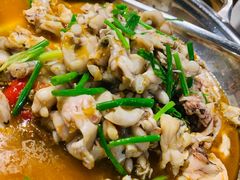 -杜婆鸡跳跳蛙(亿都店)