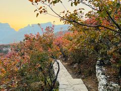 -周口店坡峰岭风景区