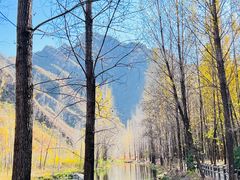 -百里山水画廊