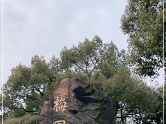 -无锡梅园公园