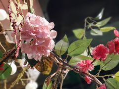 -老长沙龙虾馆·聚会餐厅(白石洲店)