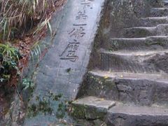 景点-大金鹰园