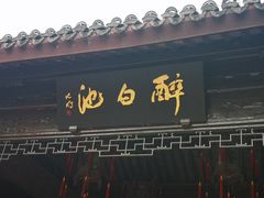-上海醉白池公园