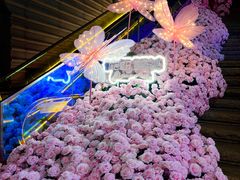 -万科生活广场(东莞松山湖店)