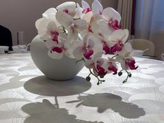 -晋阳春·山西菜·北京烤鸭(交大店)
