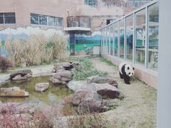 -苏州太湖国家湿地公园
