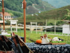 -龙坞茶村