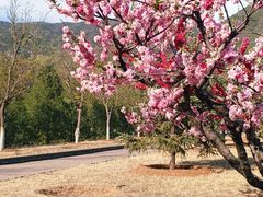 -北京十三陵国家森林公园蟒山景区