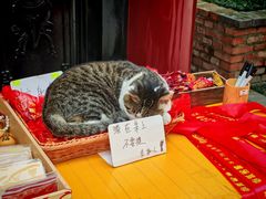 -冒椒火辣(太古里店)