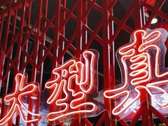 -沙胆彪炭炉牛杂煲(成都玉林店)