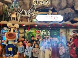 -卡通尼·Safari非洲探索乐园·生日会(金桥国际商业广场店)